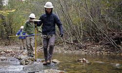 44940473334 6339179680 Z