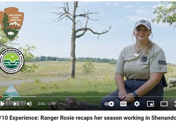 38Ff5F50 D54F B3Fc Aa1A 761Ff177Fae6